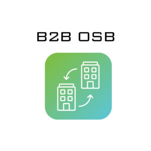 B2B OSB E-Ticaret Pazar Yeri Santab